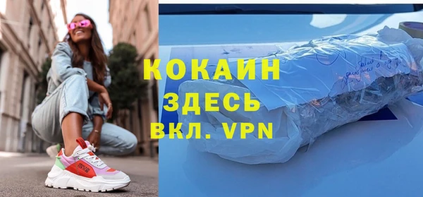мдпв Гусев