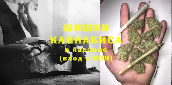 мдпв Гусев