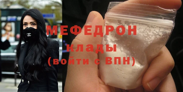 мдпв Гусев