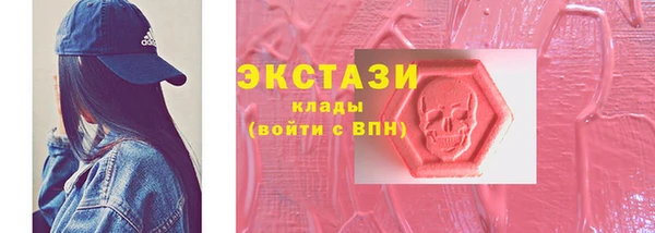 мдпв Гусев