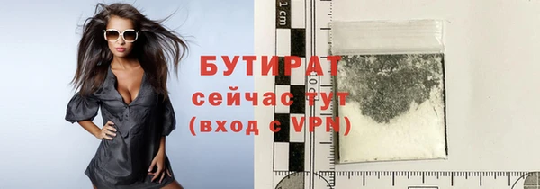 мдпв Гусев