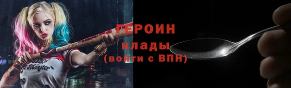 мдпв Гусев