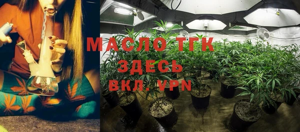 мдпв Гусев