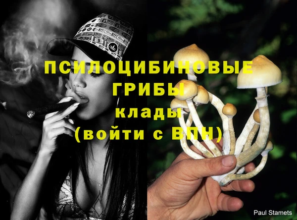 мдпв Гусев