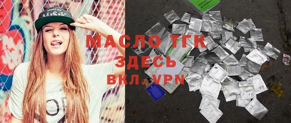 мдпв Гусев