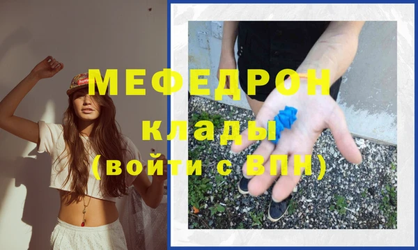 мдпв Гусев