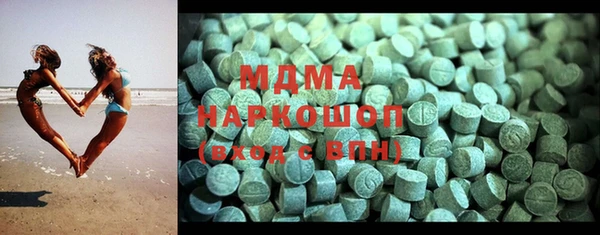 мдпв Гусев