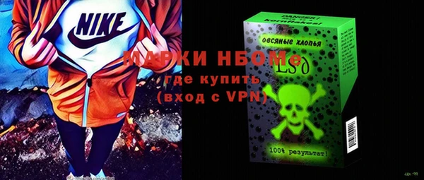 мдпв Гусев
