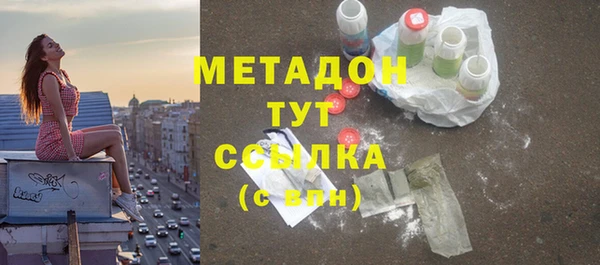 мдпв Гусев