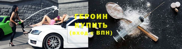 мдпв Гусев