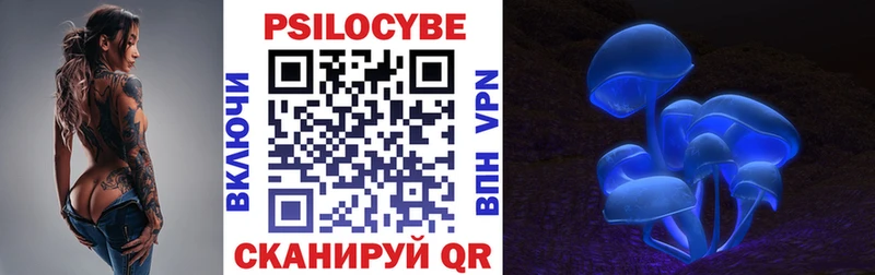 Псилоцибиновые грибы MAGIC MUSHROOMS  Купить  Избербаш 
