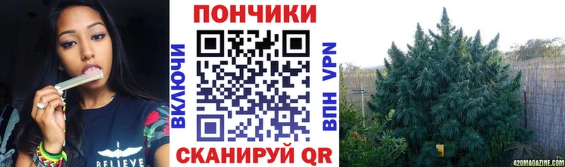 Купить закладки  Избербаш  Бошки марихуана конопля 